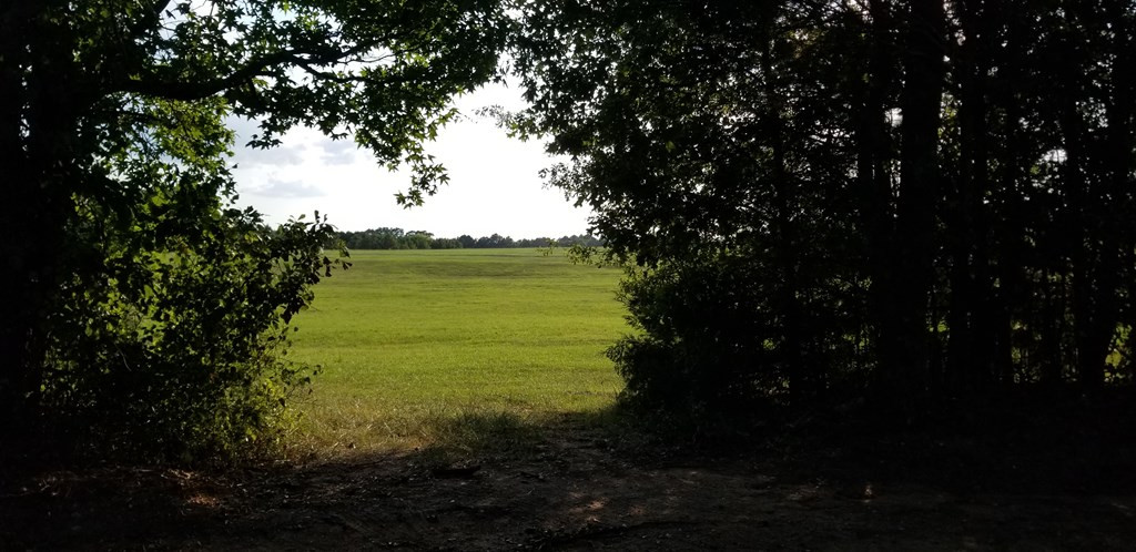 2850 Jones Chapel Road Lincolnton, GA 30817 - Photo 13 of 13 Gallery Image 13