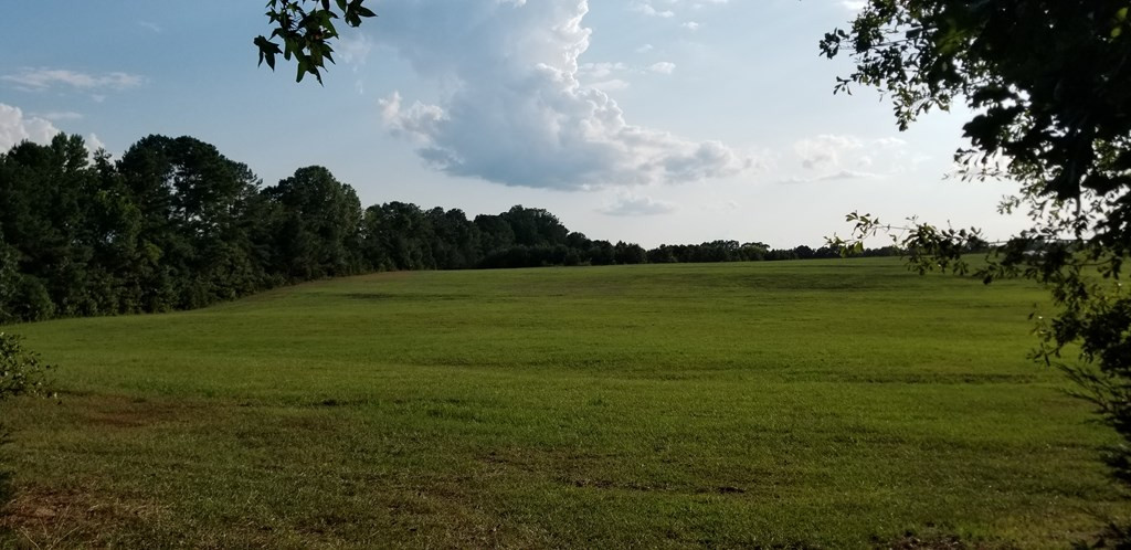 2850 Jones Chapel Road Lincolnton, GA 30817 - Photo 3 of 13 Gallery Image 3