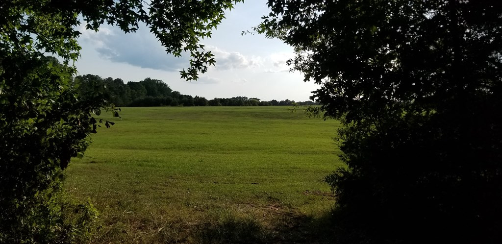 2850 Jones Chapel Road Lincolnton, GA 30817 - Photo 4 of 13 Gallery Image 4