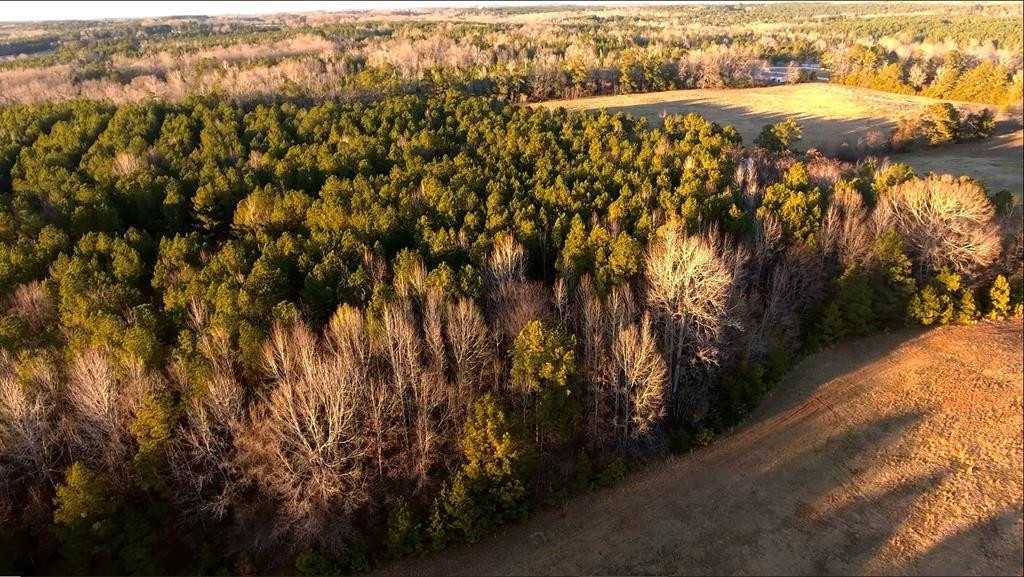 2850 Jones Chapel Road Lincolnton, GA 30817 - Photo 7 of 13 Gallery Image 7