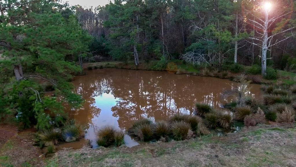 2850 Jones Chapel Road Lincolnton, GA 30817 - Photo 9 of 13 Gallery Image 9