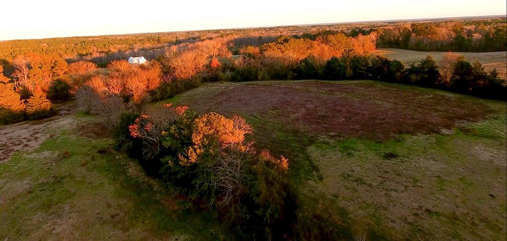 2850 Jones Chapel Road Lincolnton, GA 30817 - Photo 10 of 13 Gallery Image 10