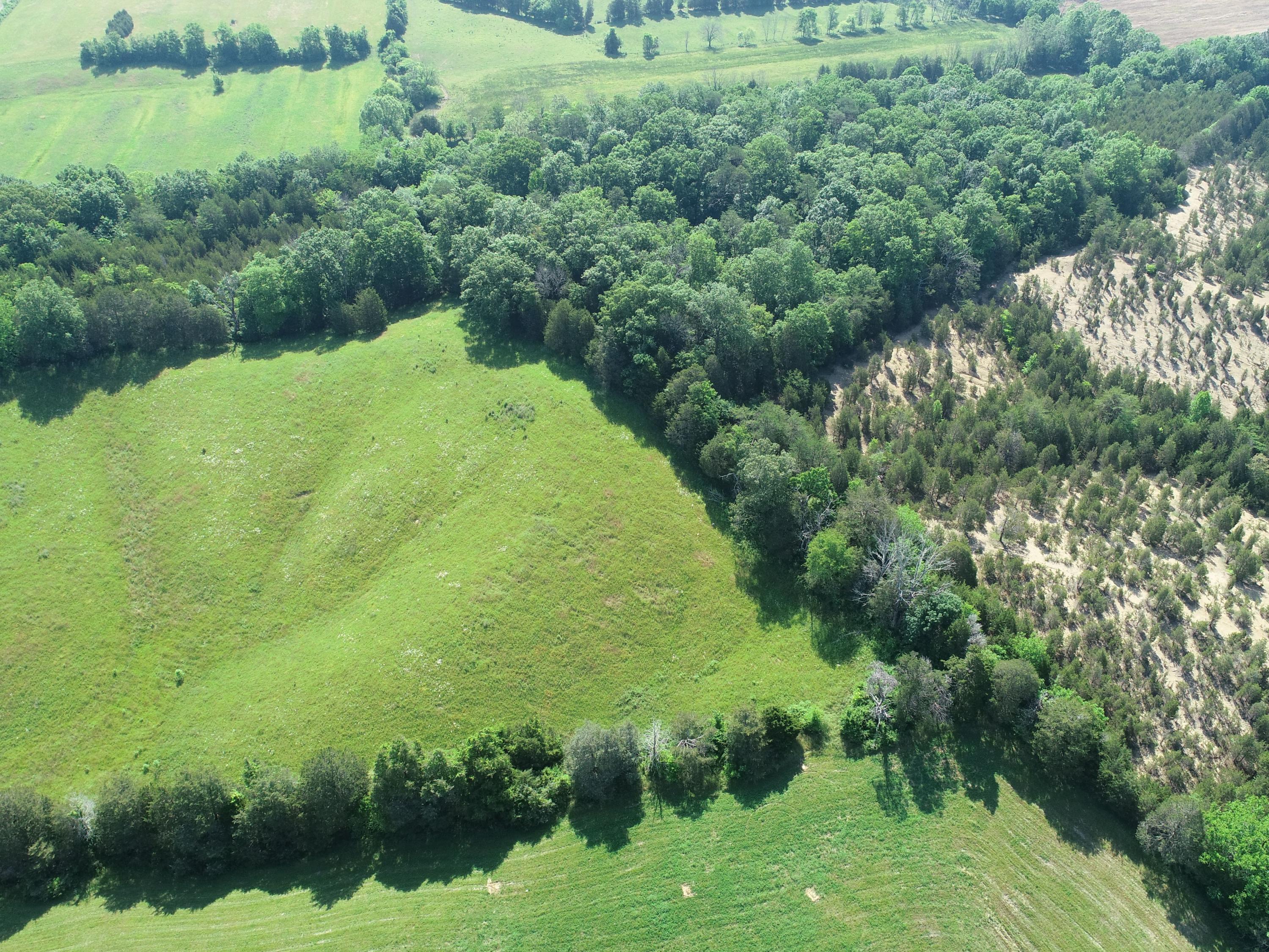 Lot 53 Lee Road Mohawk, TN 37810 - Photo 12 of 15 P6RI0aZg