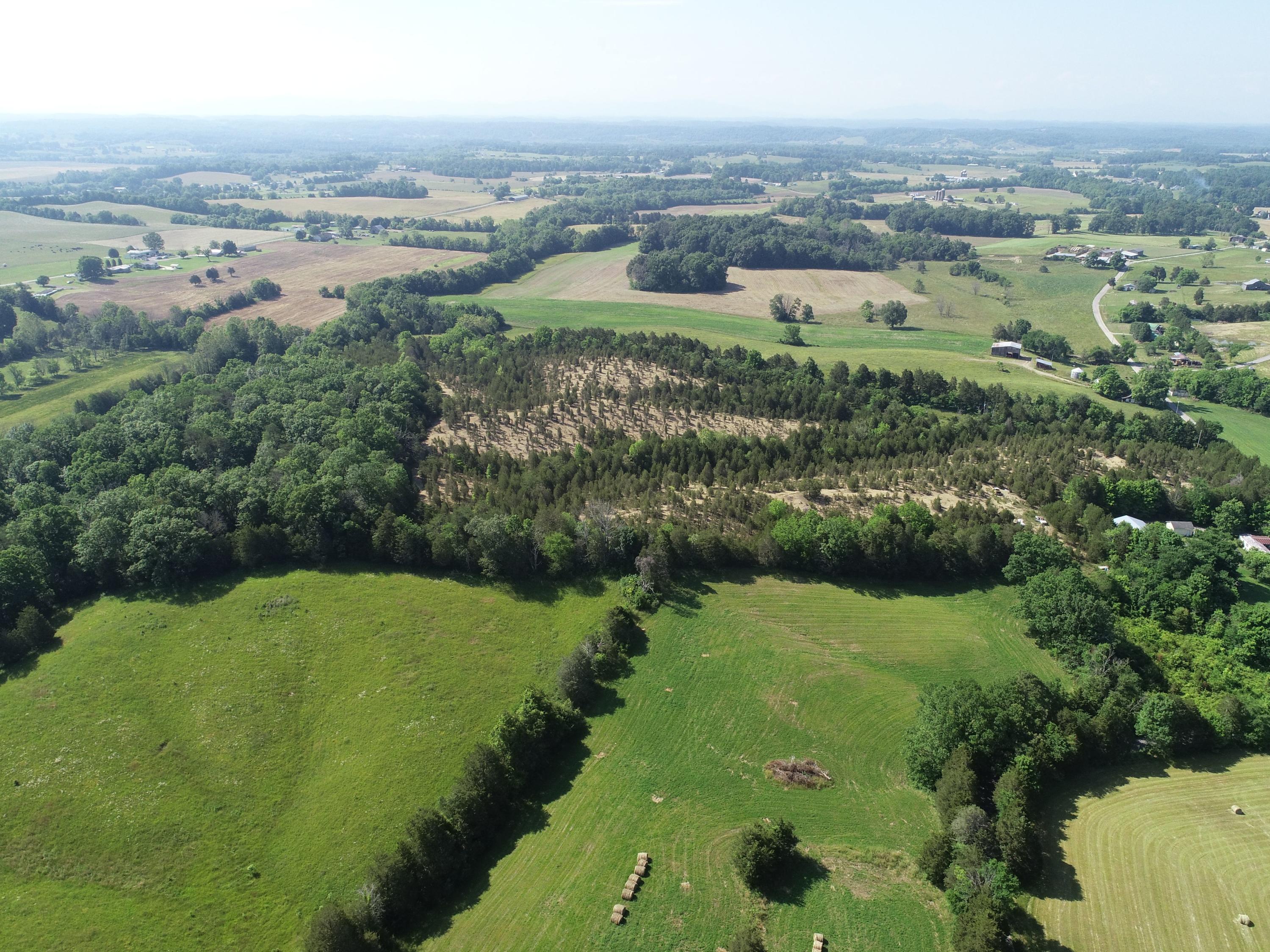 Lot 53 Lee Road Mohawk, TN 37810 - Photo 15 of 15 y6bca3Ow