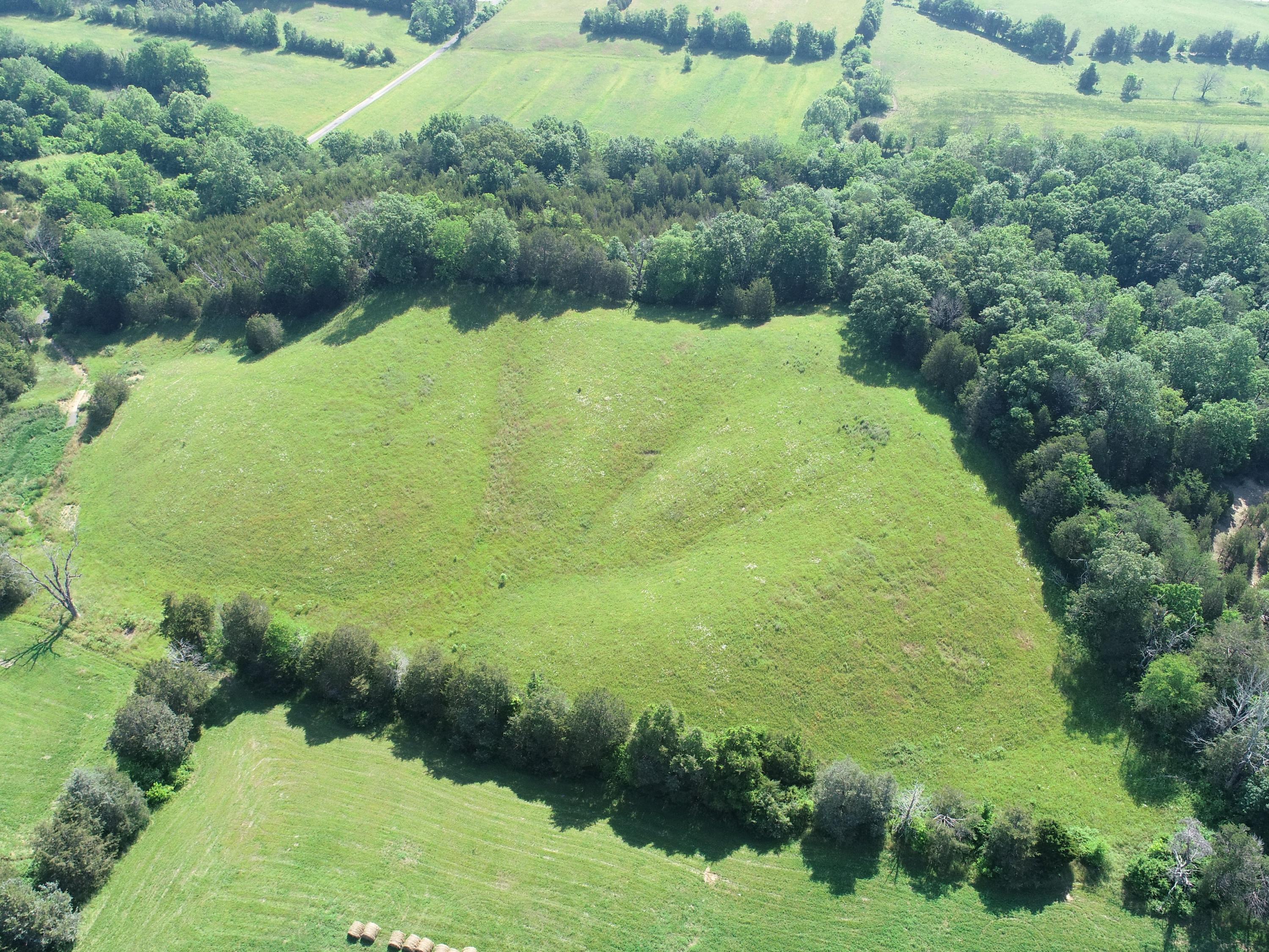 Lot 53 Lee Road Mohawk, TN 37810 - Photo 7 of 15 -GvRgemg