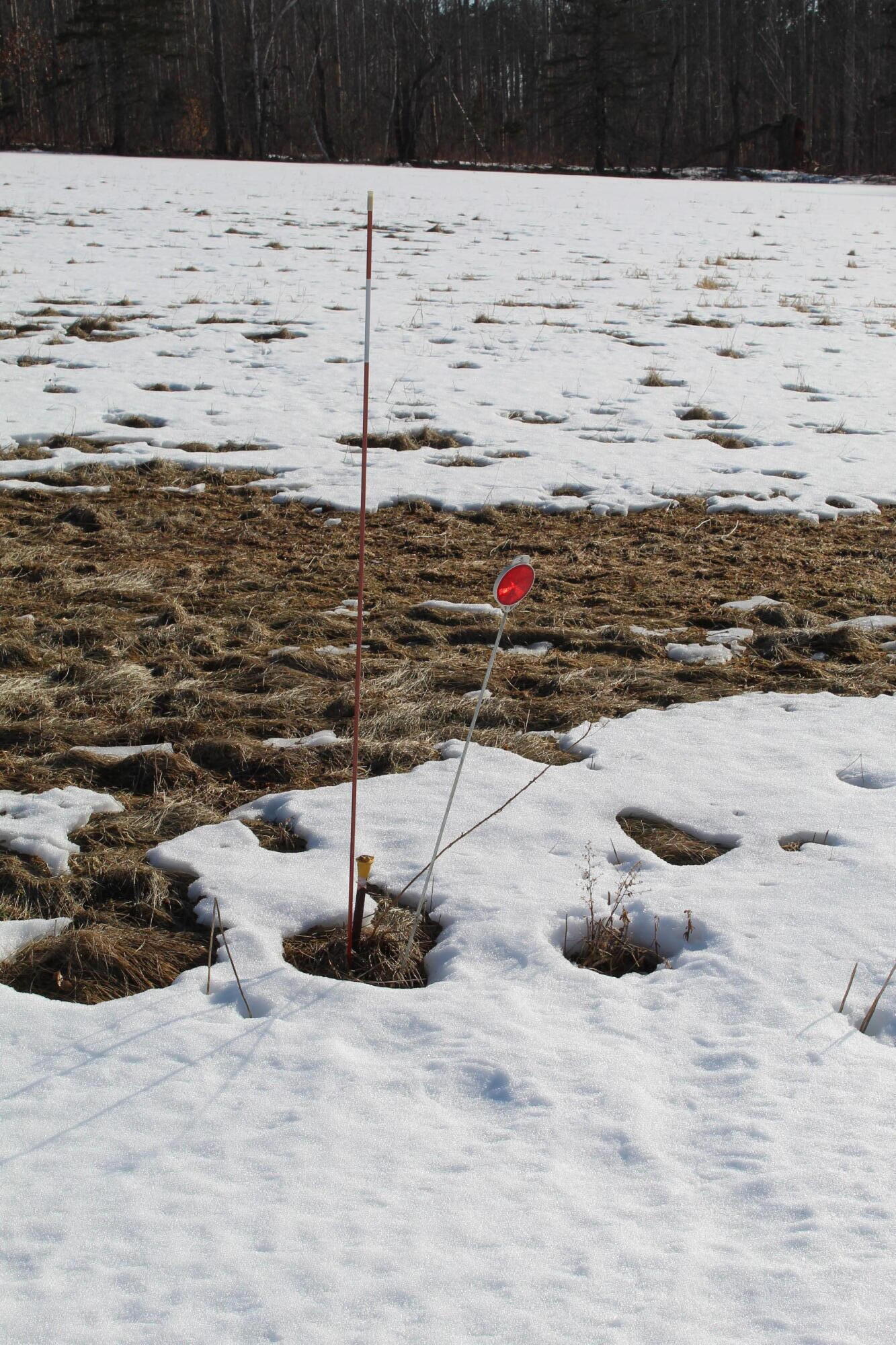 Lot 4 Jackson Ridge Road Jackson, ME 04921 - Photo 11 of 11 Survey pin