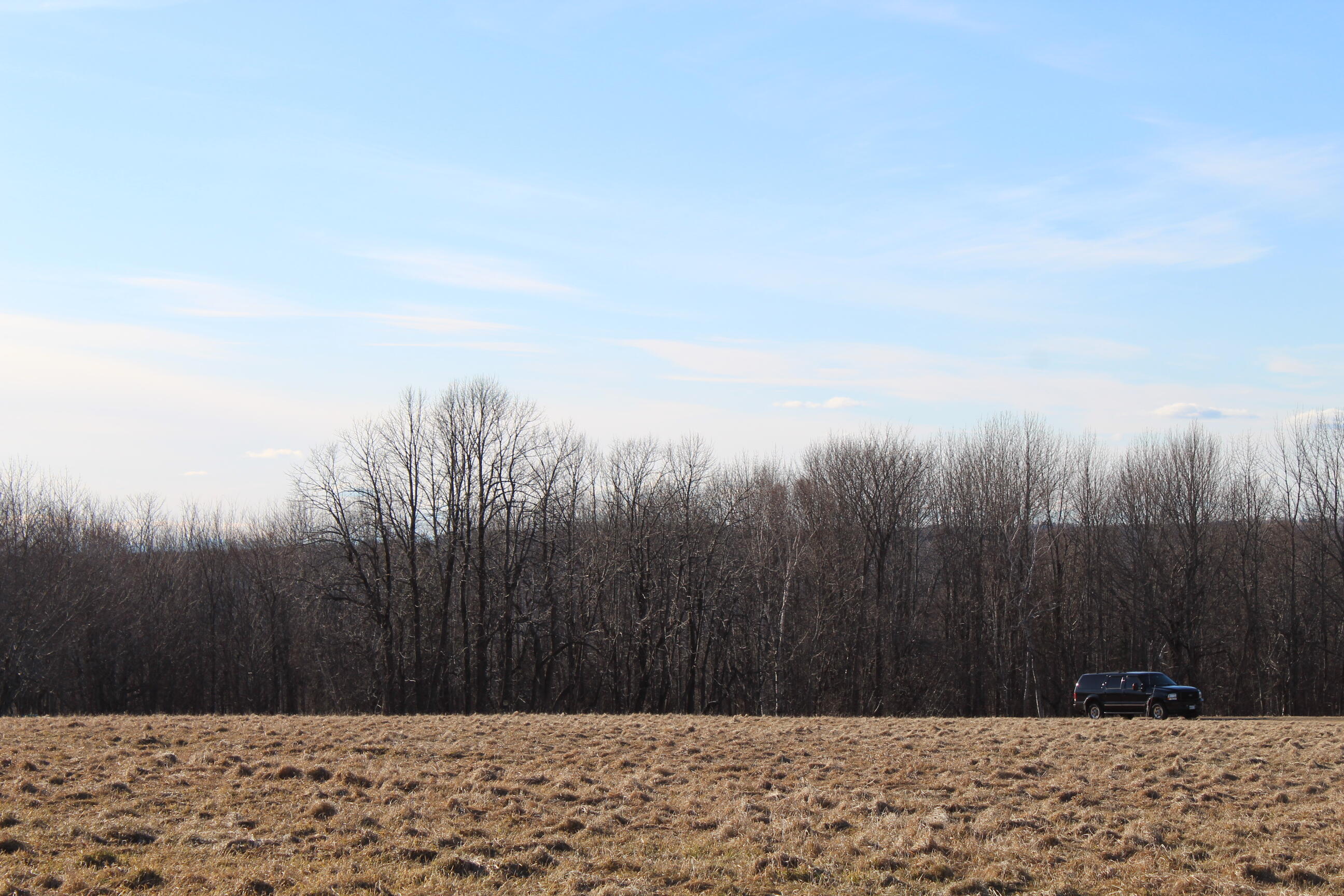 Lot 4 Jackson Ridge Road Jackson, ME 04921 - Photo 2 of 11 IMG_1376