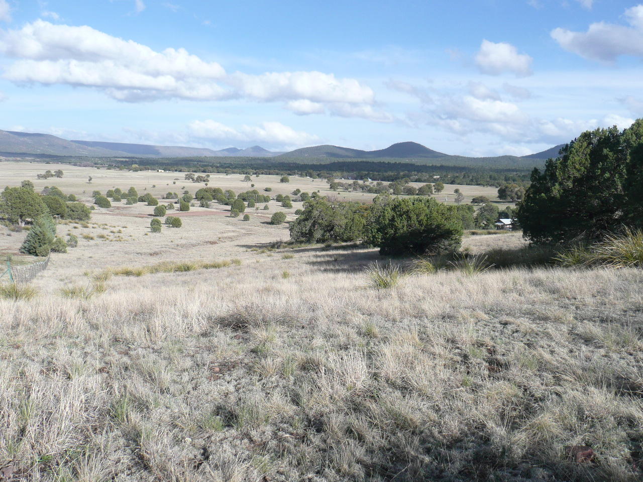478 Rolling Hills Road Young, AZ 85554 - Photo 15 of 20