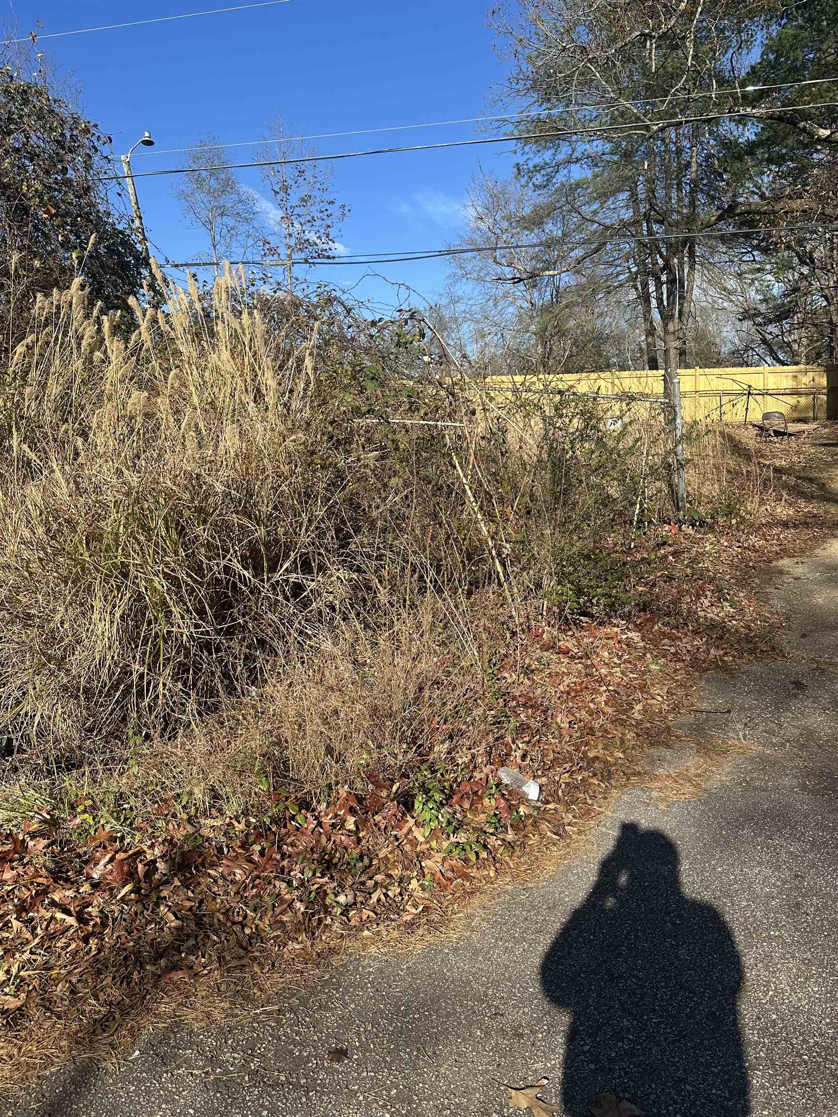 205 Genoble Road Greer, SC 29651 - Photo 2 of 11