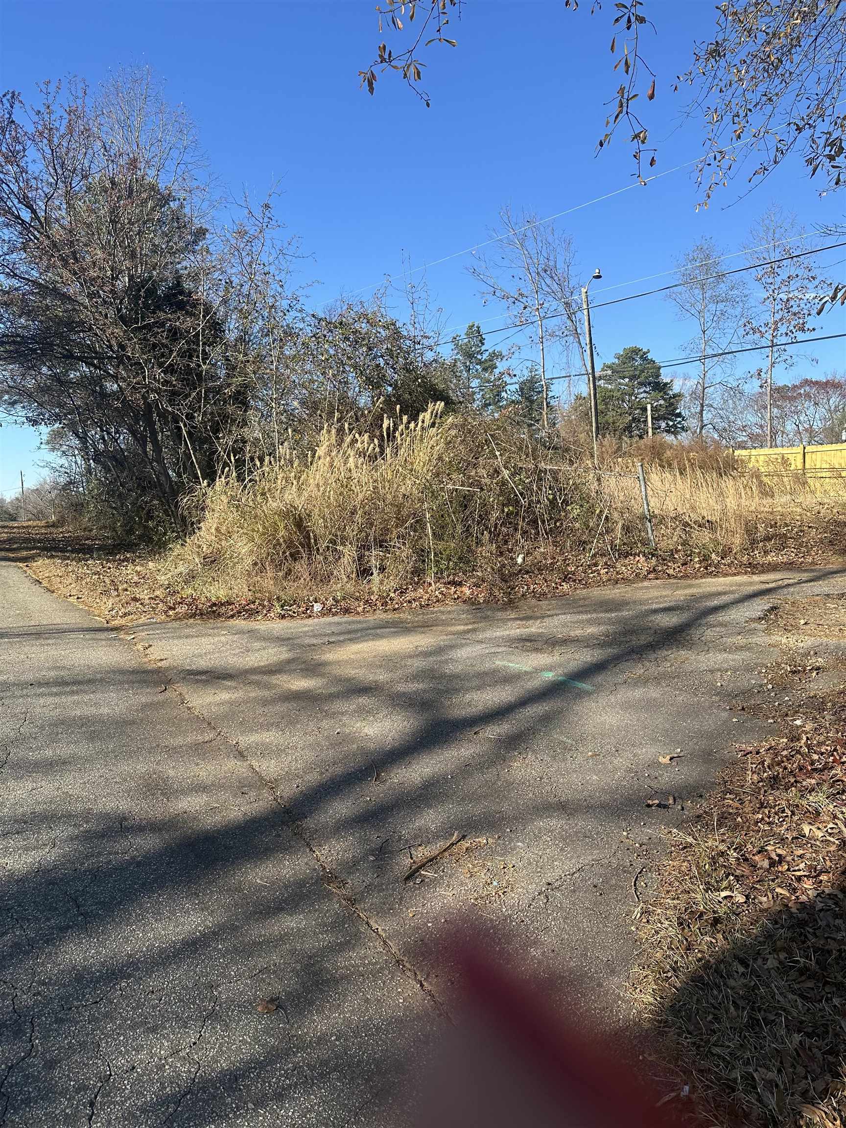 205 Genoble Road Greer, SC 29651 - Photo 4 of 11