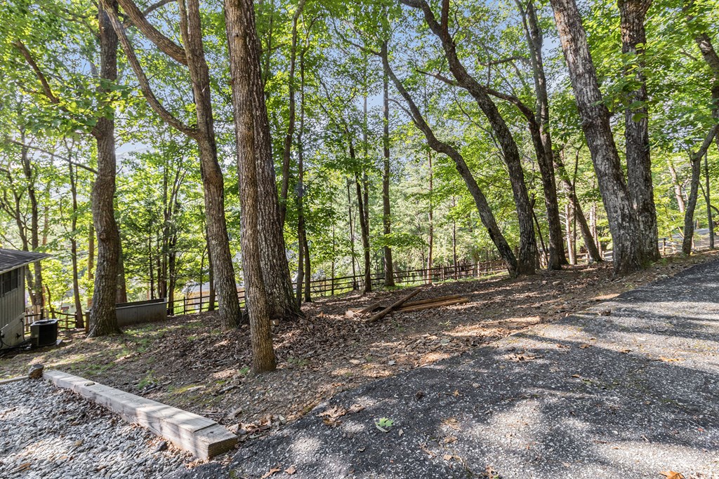 220 Fox Den Circle Jasper, GA 30143 - Photo 29 of 29 a backyard of a house with lots of green space