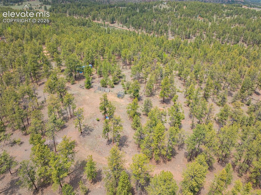 4250 Doe Valley Road Guffey, CO 80820 - Photo 26 of 35