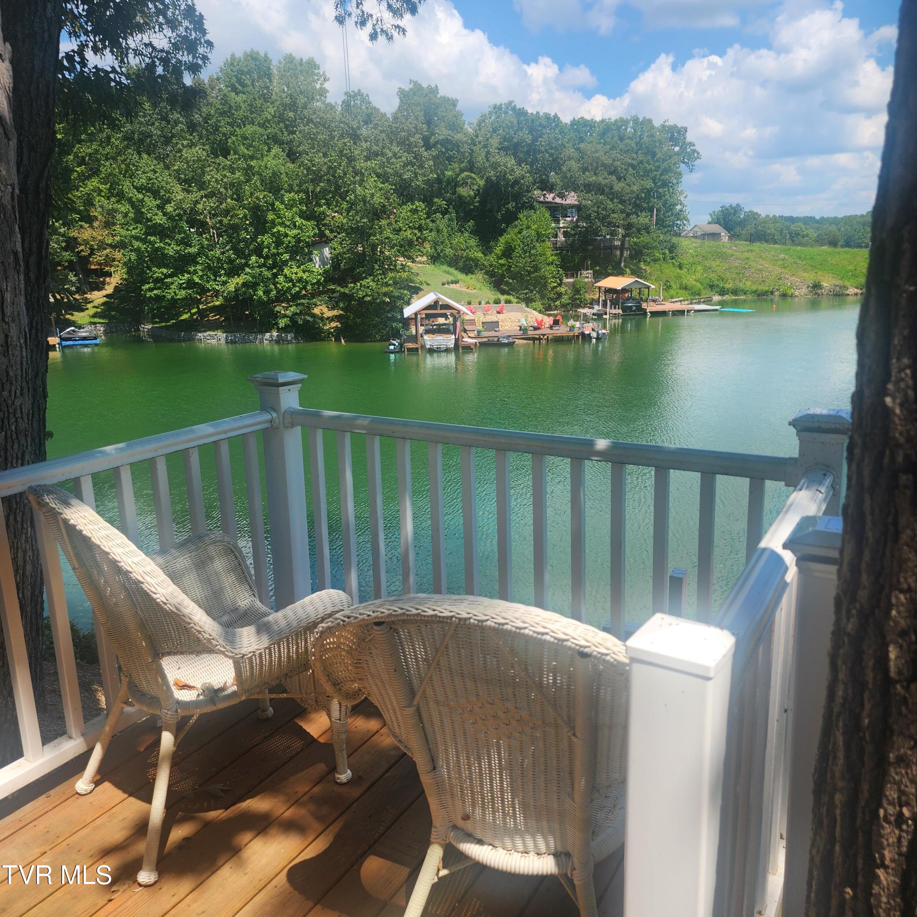 153 H R King Road, Unit 1 Gray, TN 37615 - Photo 45 of 49 lower deck