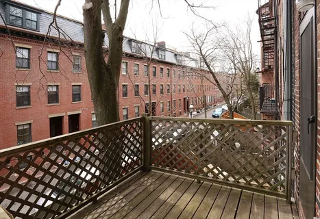 a street view with wooden fence and trees