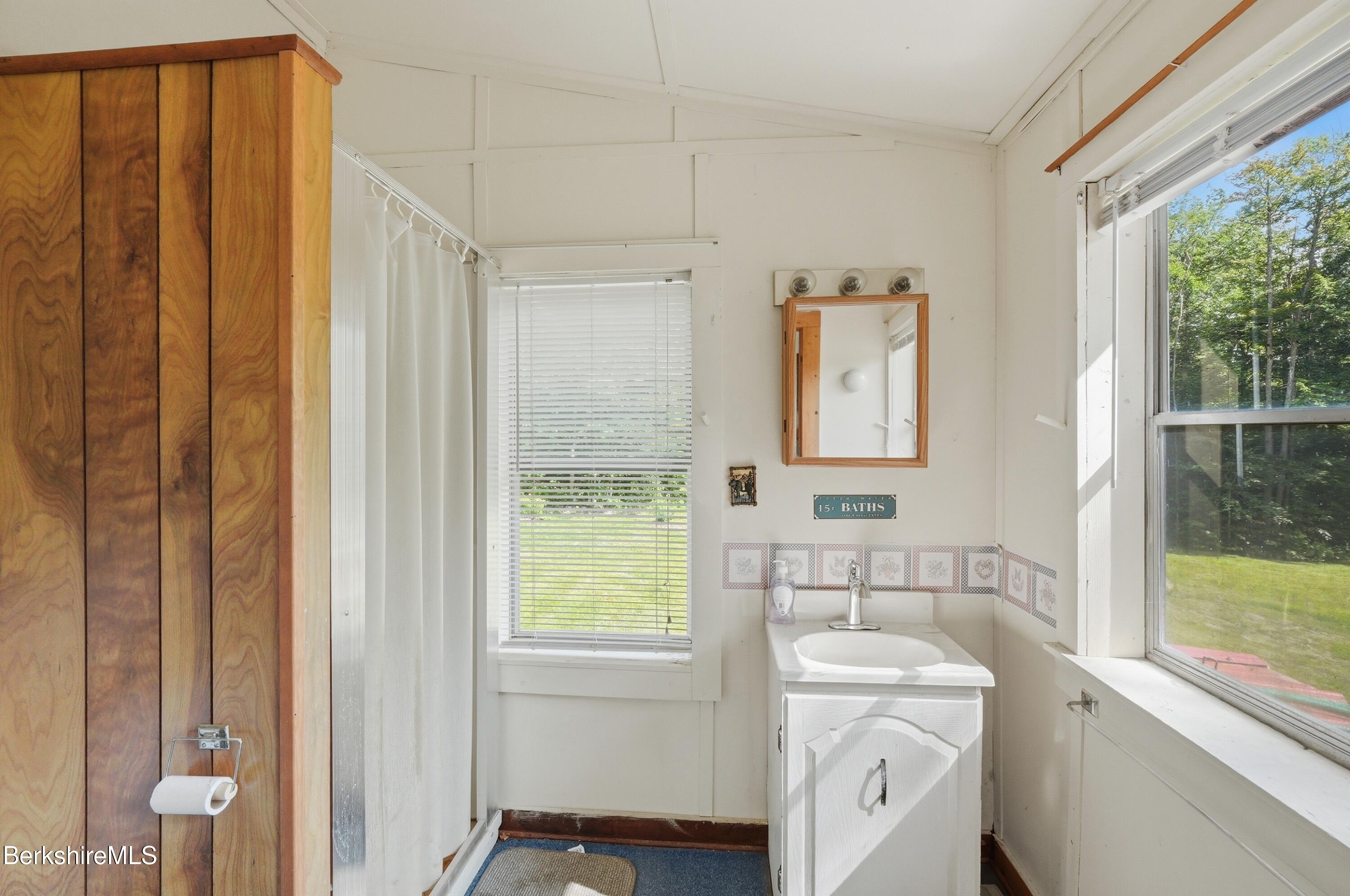 68 Curtin Road Peru, MA 01235 - Photo 21 of 38 a bathroom with a sink a toilet and a mirror