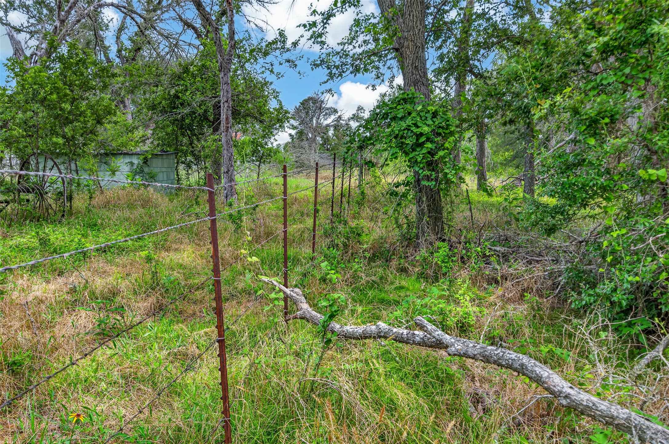 266 Beaver Road Elgin, TX 78621 - Photo 31 of 40 A rustic fence line carves through a verdant, tree-lined landscape.