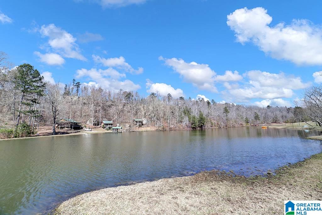 39080 Highway 231 Steele, AL 35987 - Photo 14 of 37
