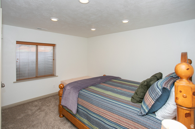 426 Deer Hollow Road Tooele, UT 84074 - Photo 24 of 37 Bedroom with carpet, a textured ceiling, and recessed lighting
