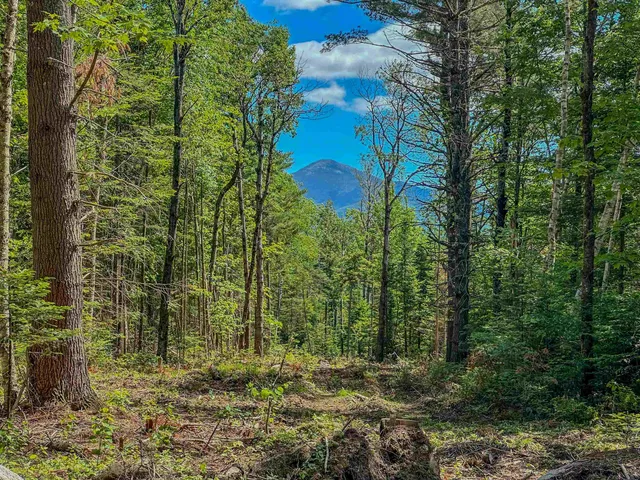 $195,000 | 0 Ridge Road, Unit 42, Bethlehem, NH 03574