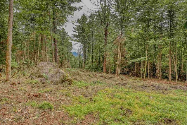 $195,000 | 0 Ridge Road, Unit 42, Bethlehem, NH 03574