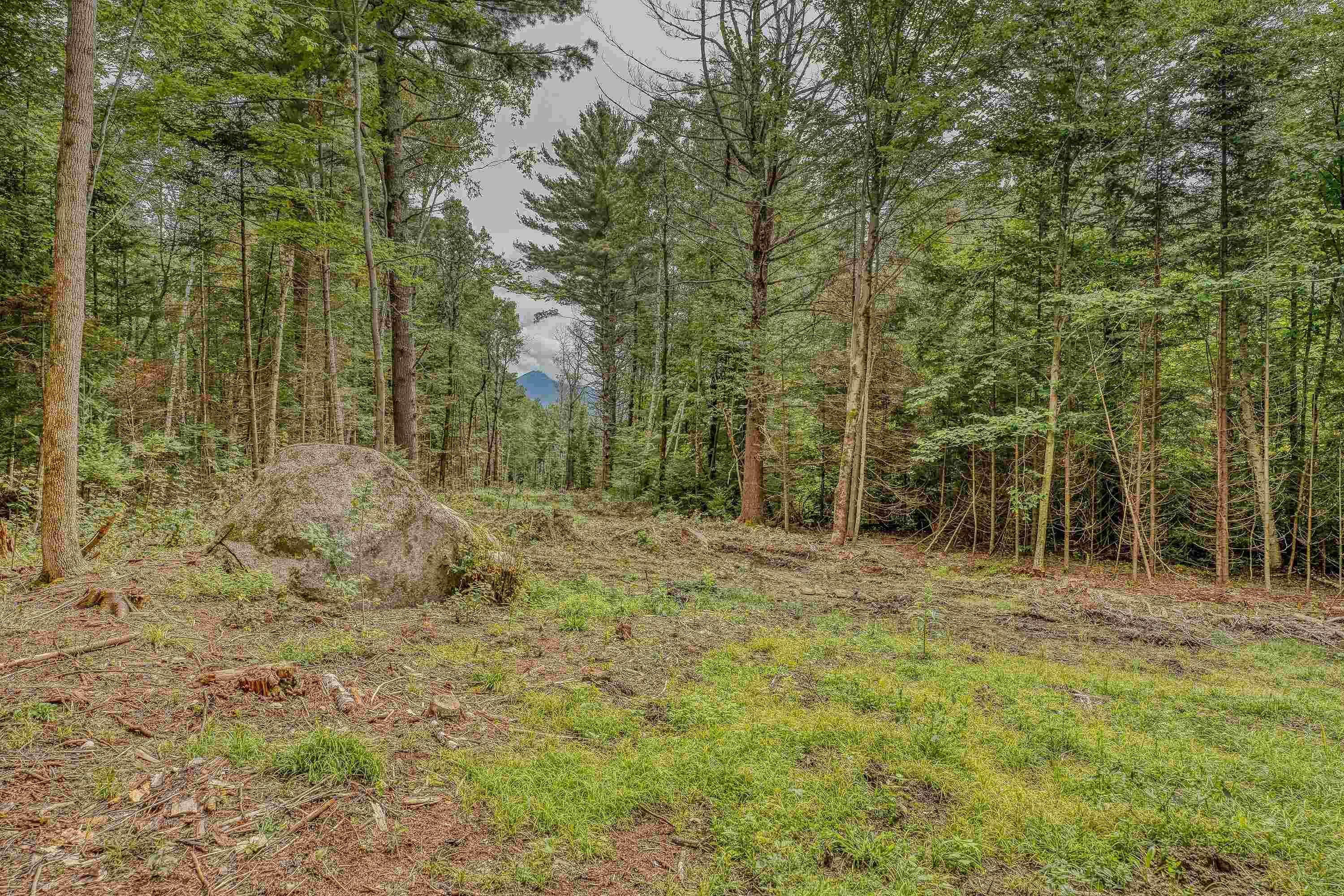 0 Ridge Road, Unit 42 Bethlehem, NH 03574 - Photo 3 of 24