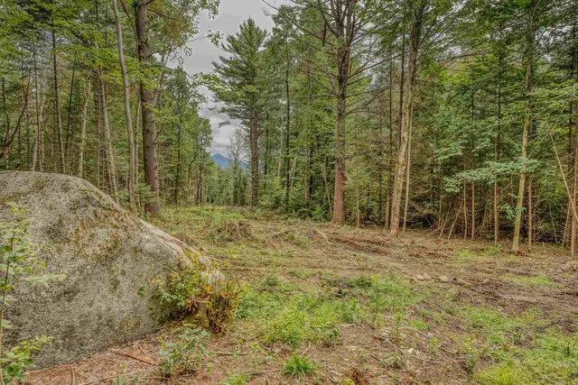 $195,000 | 0 Ridge Road, Unit 42, Bethlehem, NH 03574