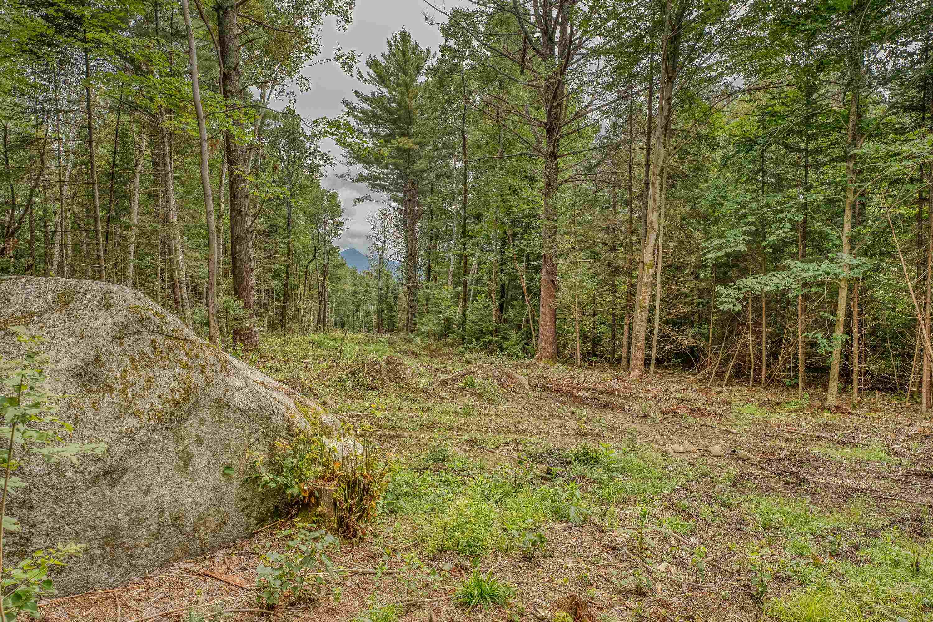 0 Ridge Road, Unit 42 Bethlehem, NH 03574 - Photo 5 of 24