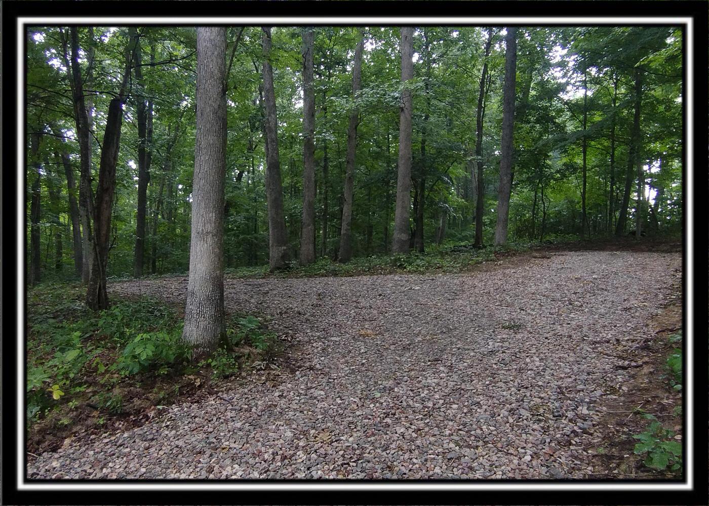 260 Raysville Road Jackson, OH 45640 - Photo 14 of 17 CT-14
