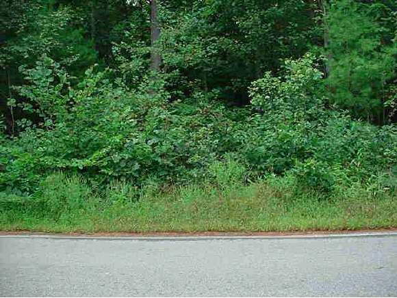 Lot 2 Atkinson Road Salem, NH 03079 - Photo 1 of 1