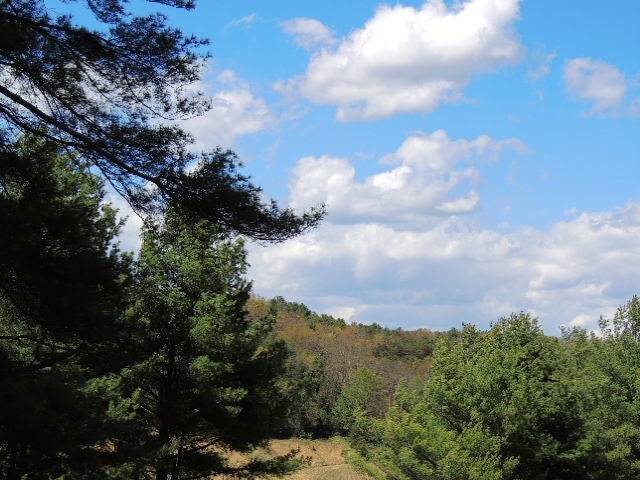 Tbd Locust Hill Road Max Meadows, VA 24360 - Photo 14 of 20 Gallery Image 14
