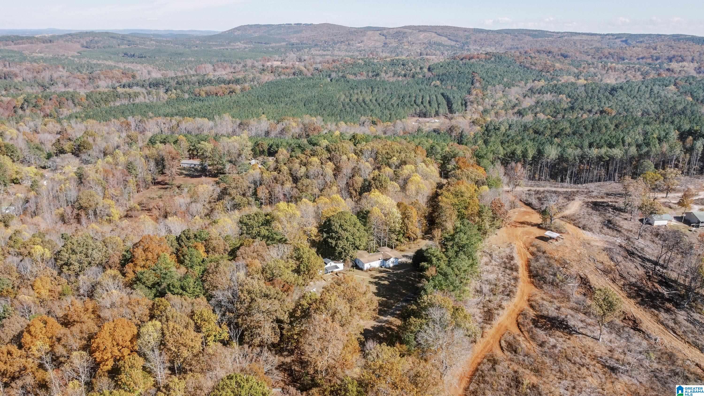 526 County Road 125 Heflin, AL 36264 - Photo 61 of 83
