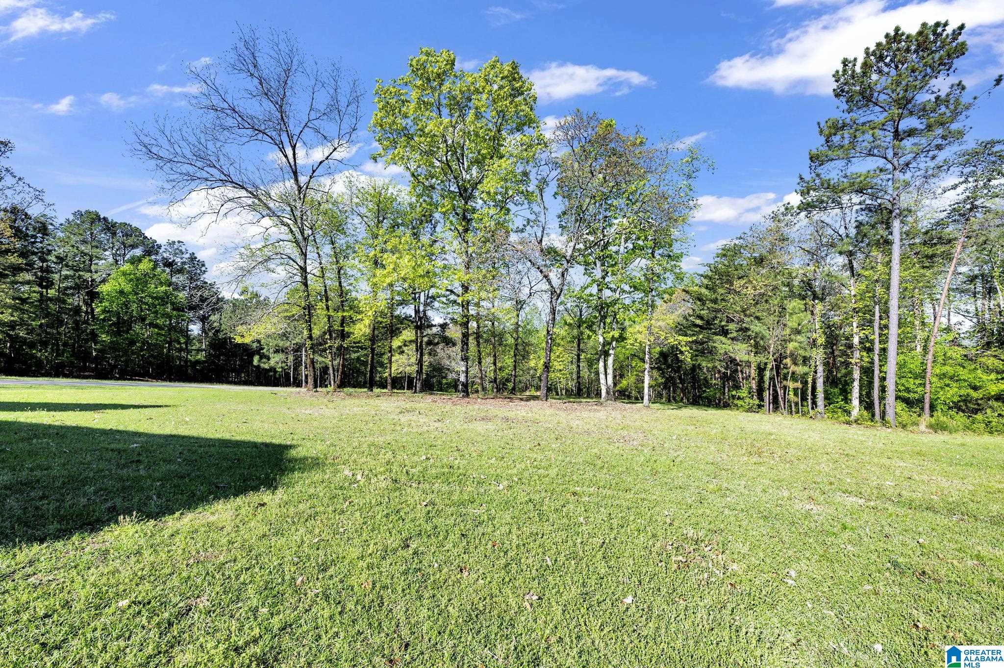 191 Dee Hendrix Road Bessemer, AL 35023 - Photo 45 of 54