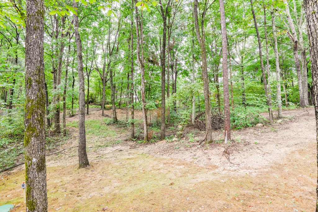 378 Old Babb Road Rocky Face, GA 30740 - Photo 36 of 40 Gallery Image 36