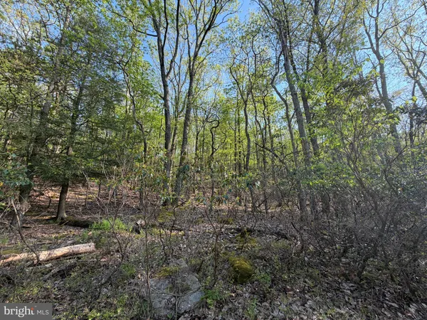 $8,500 | 462 Spring Mountain Drive, Zion Grove, PA 17985