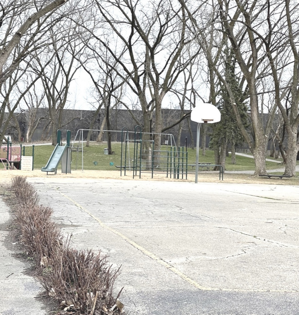 8901 North Western Avenue, Unit 211 Des Plaines, IL 60016 - Photo 15 of 17