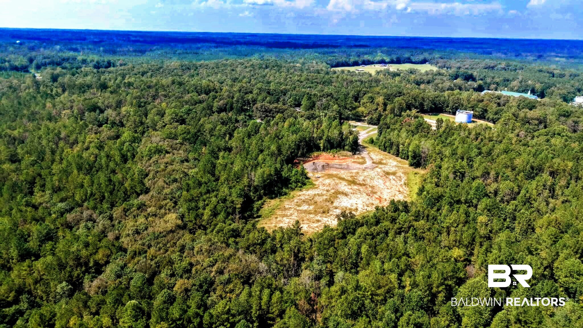 0 Pheasant Road Gilbertown, AL 36908 - Photo 2 of 31 Gallery Image 2