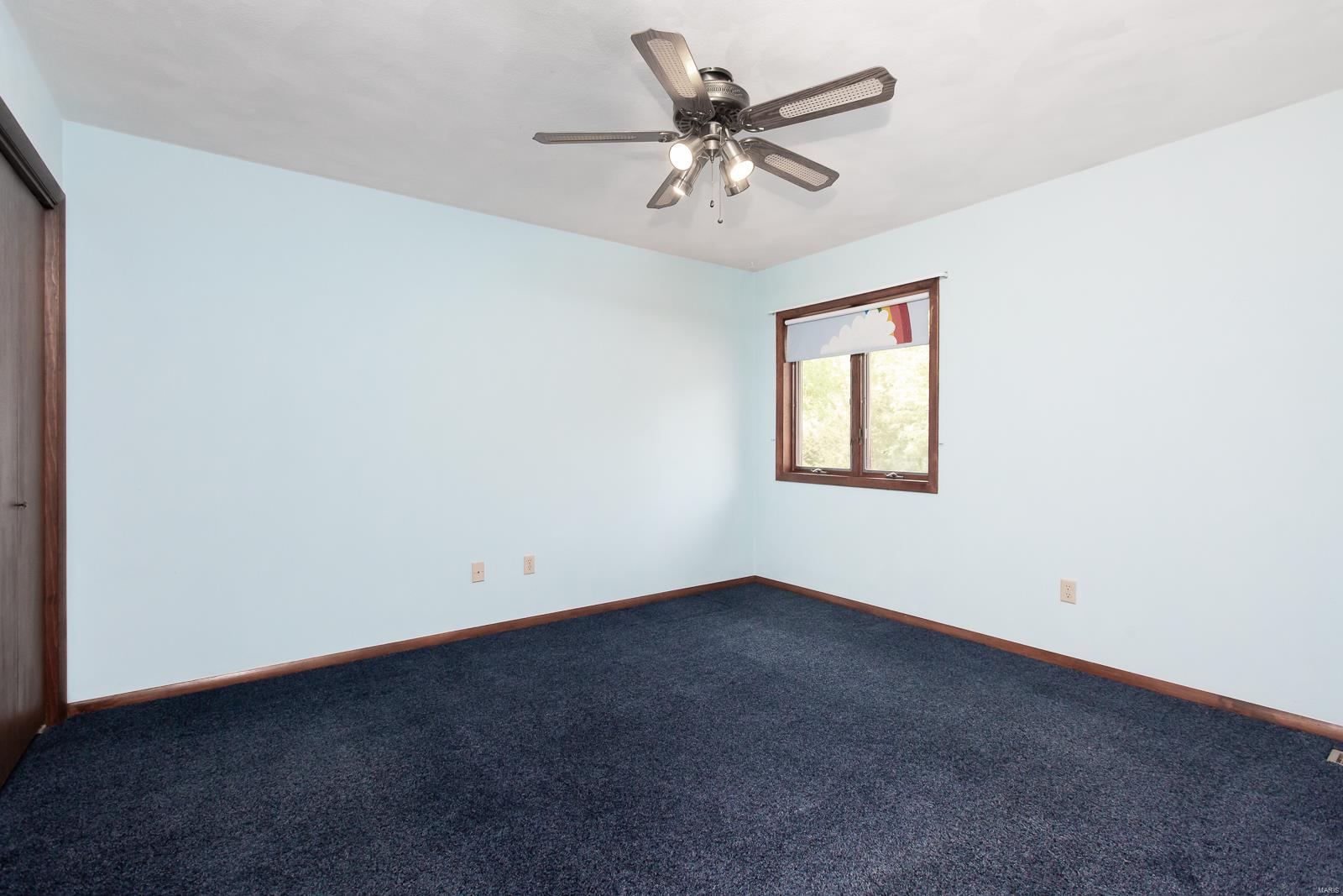 4718 Buck Ridge Road Freeburg, IL 62243 - Photo 29 of 52
