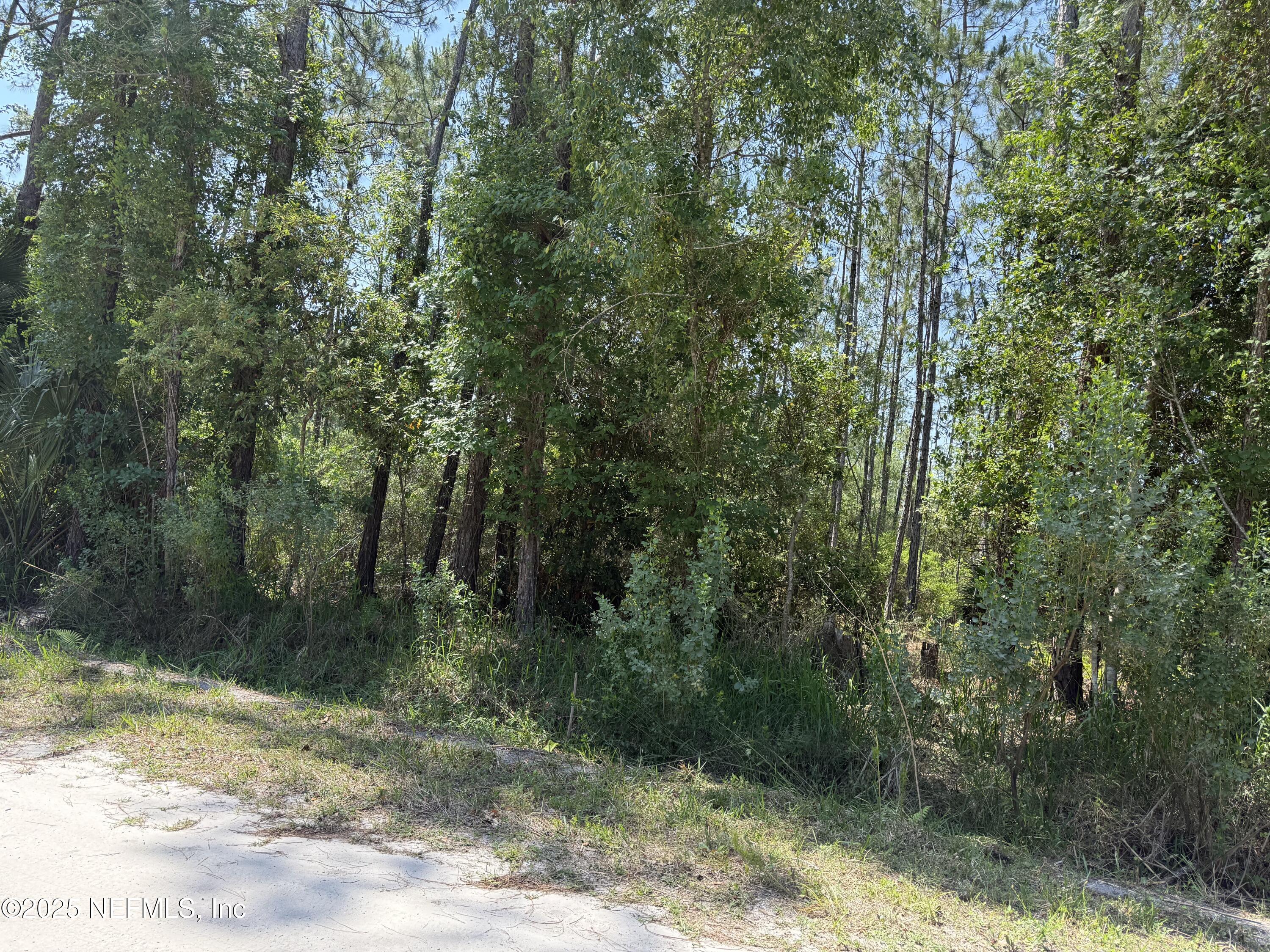 107 White Pine Georgetown, FL 32139 - Photo 1 of 2 a view of a yard with a tree