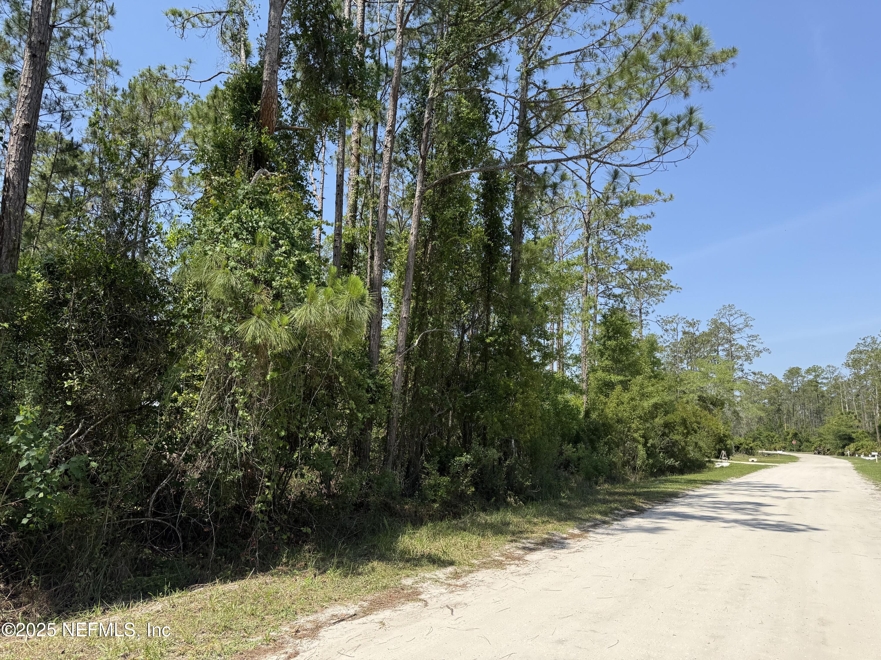 107 White Pine Georgetown, FL 32139 - Photo 2 of 2 a view of a yard