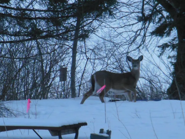 $594,900 | 11775 Forestview Drive South, Baxter, MN 56425