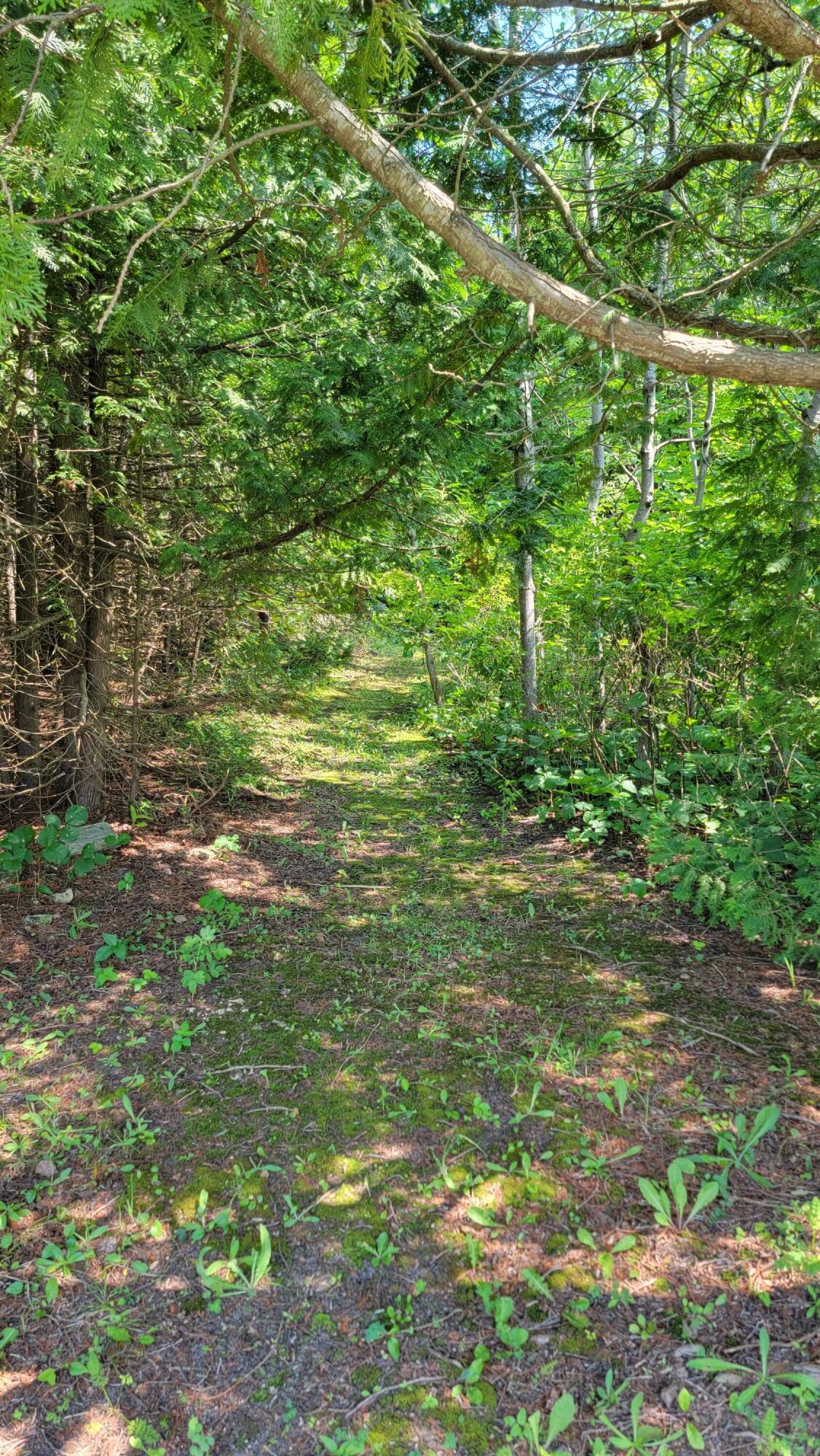 1208 West Pte La Barbe Rd Street St. Ignace, MI 49781 - Photo 56 of 62 Gallery Image 56