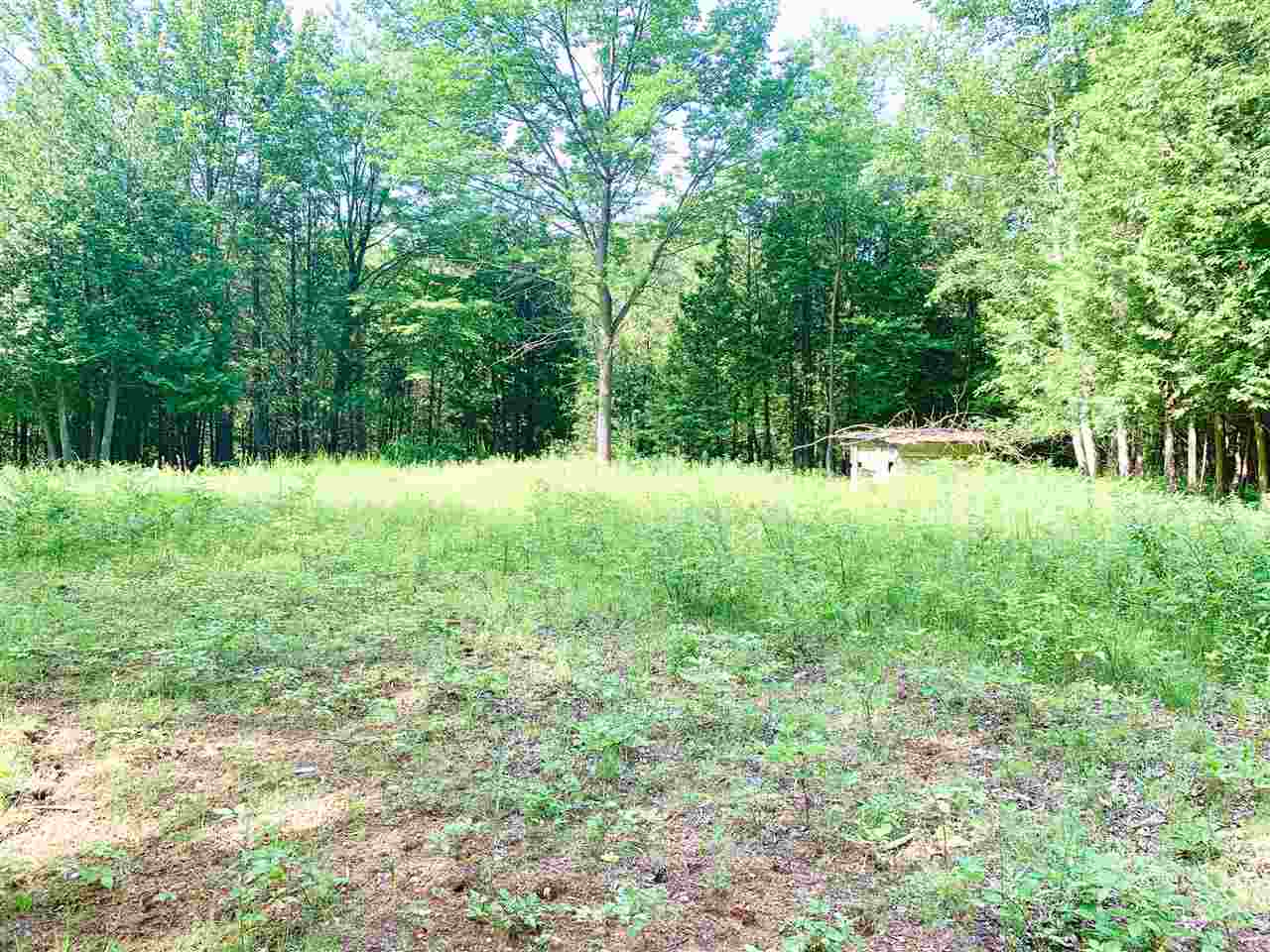 Tbd 7 Mile (86.47 Acres) Road Remus, MI 49340 - Photo 26 of 29