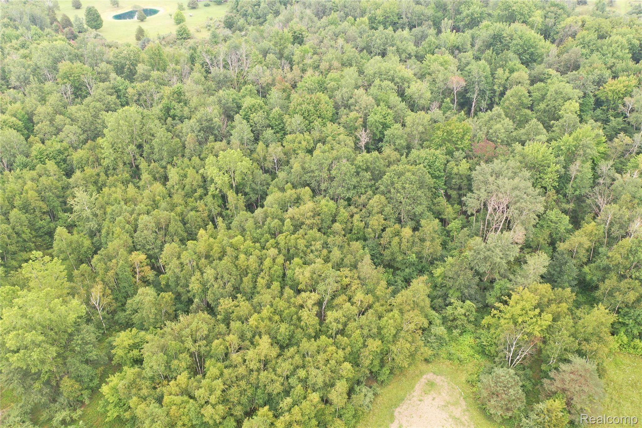 3590 James Road Caro, MI 48723 - Photo 56 of 65 DJI_0638.JPG
