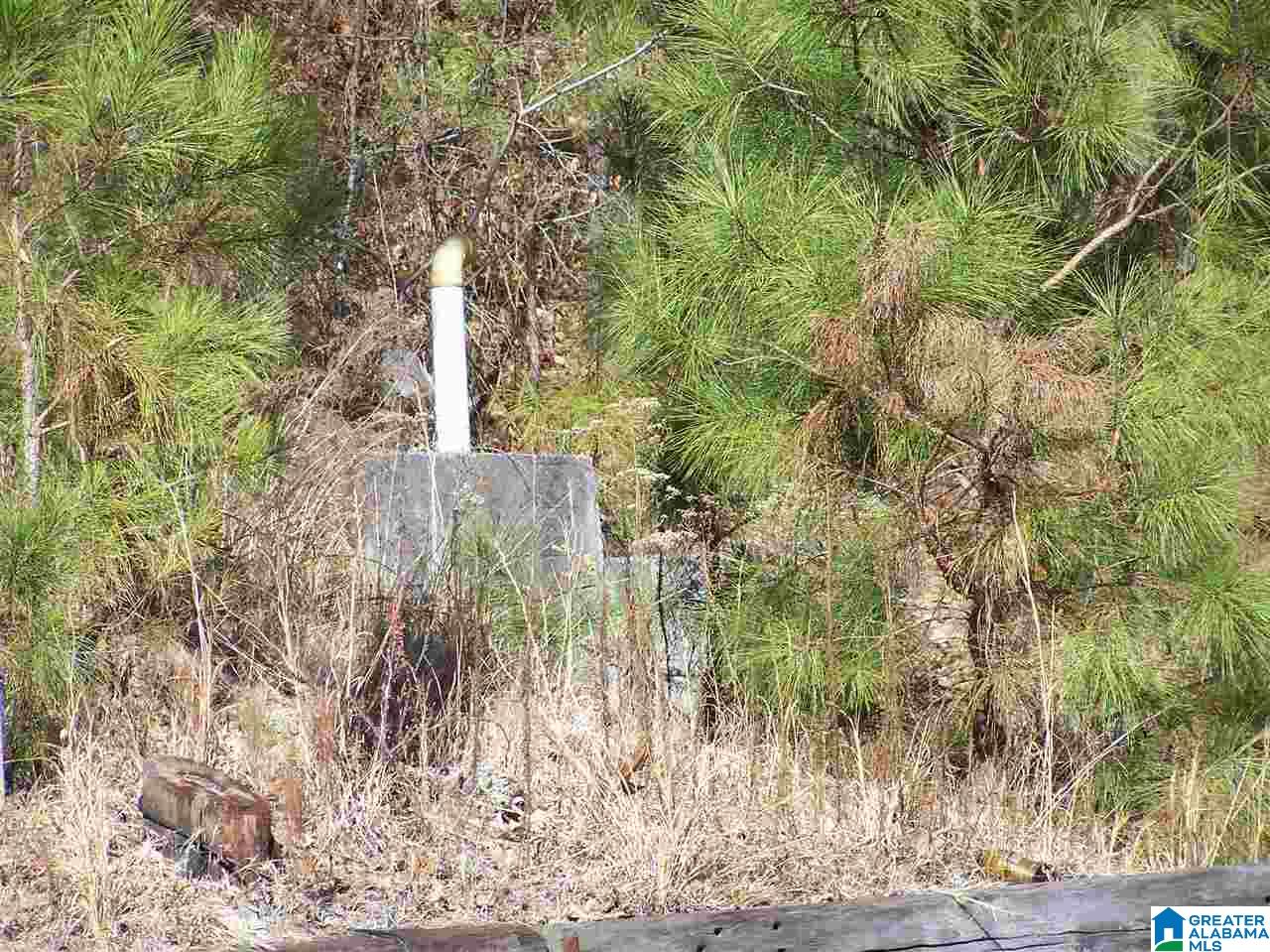 3383 County Road 42 Oneonta, AL 35121 - Photo 12 of 49