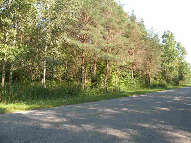 3135 South Fenmore Road Merrill, MI 48637 - Photo 14 of 14 20098406-13.JPG