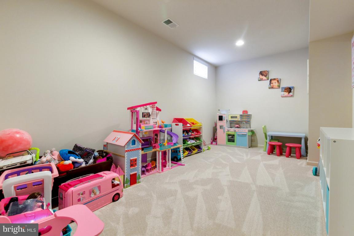 23578 Prosperity Ridge Place Brambleton, VA 20148 - Photo 31 of 42 Den on Lower Level