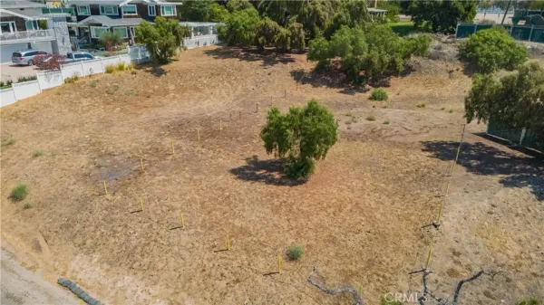 a view of a dry yard with trees