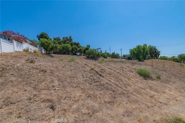 a view of a dry yard with trees in the background