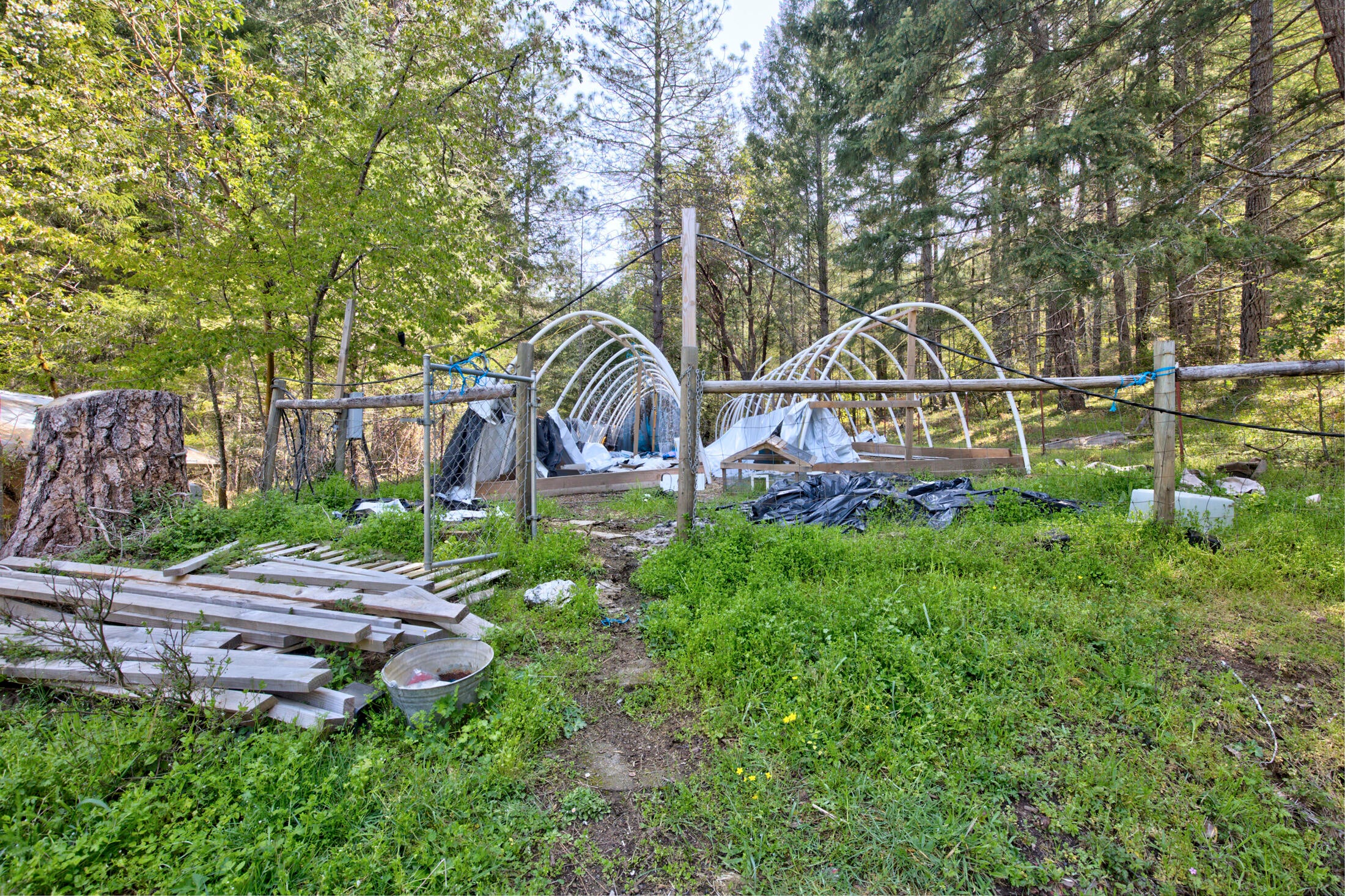 476 Elliott Creek Road Wilderville, OR 97543 - Photo 10 of 36 0R1A0619_20_21_22_23