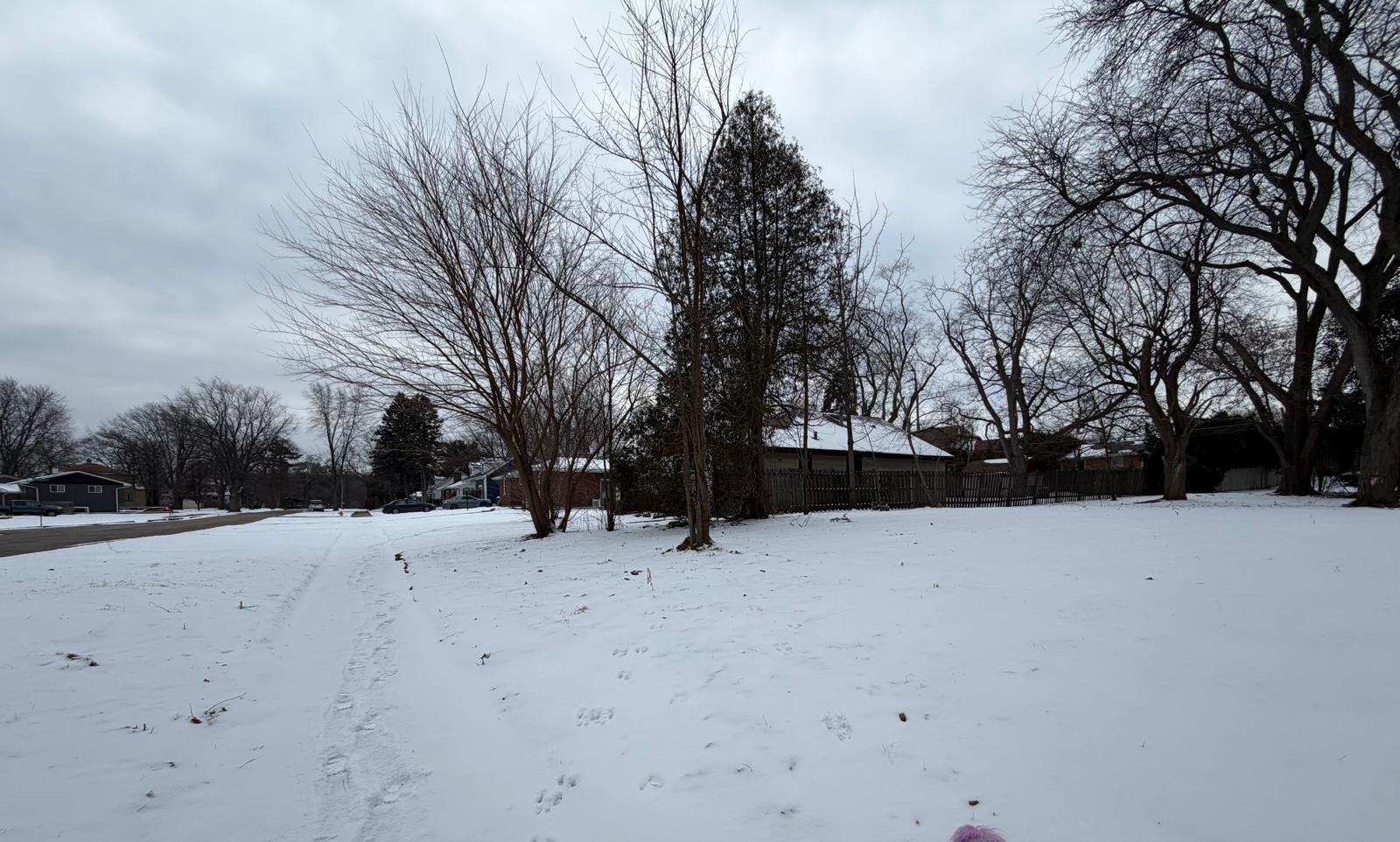 2334 Corona Road Beach Park, IL 60087 - Photo 4 of 4 a street view covered with snow